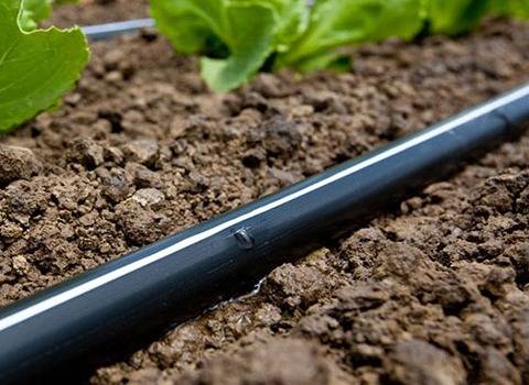 خرید و قیمت نوار آبیاری قطره ای گلخانه + فروش عمده